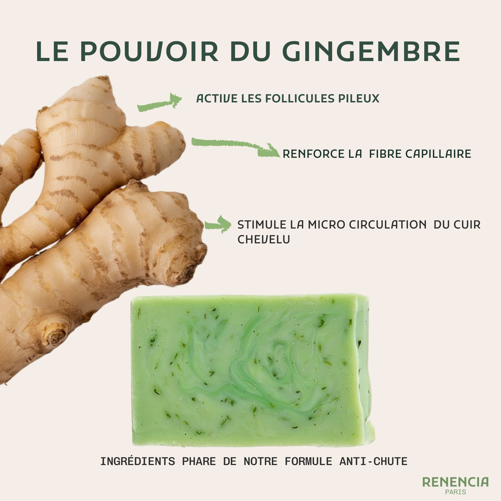 Shampoing Solide Anti-Chute Cheveux